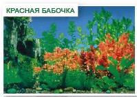 Фон односторонний Красная бабочка CL-C160060, 80см