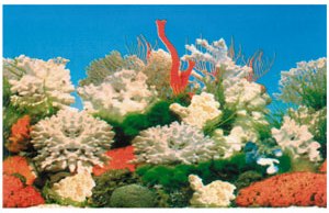 Фон односторонний Белый коралл CL-C040090, 90см (рулон 25м)