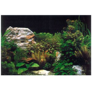 Фон односторонний Растения и белый камень CL-C420090, 90см (рулон 25м)