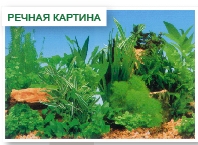 Фон односторонний Речная картина CL-C150070, 71см (рулон 15м)